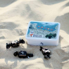 COFFRET PLAGE DU DÉBARQUEMENT